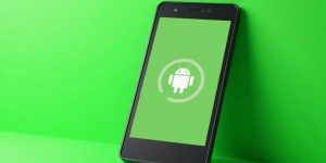 Green Android phone on solid color background.